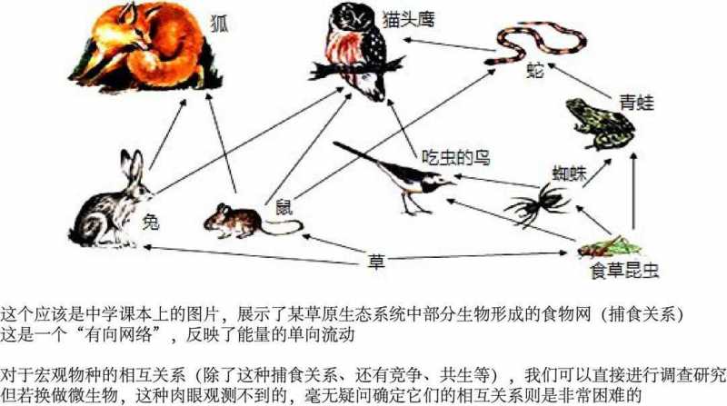 微生物关联网络推断及一个简单的相关网络示例 我是钱